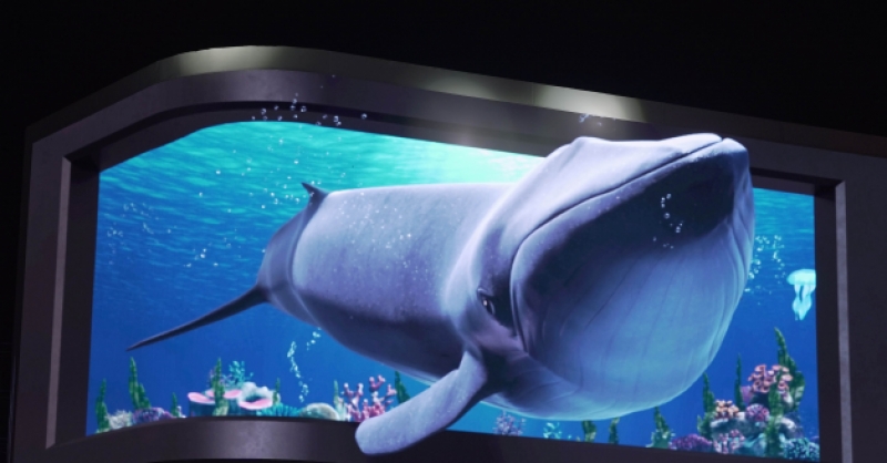 在金沙灘啤酒城，那些讓你眼前一亮的驚喜